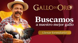 encuesta_gallo_de_oro